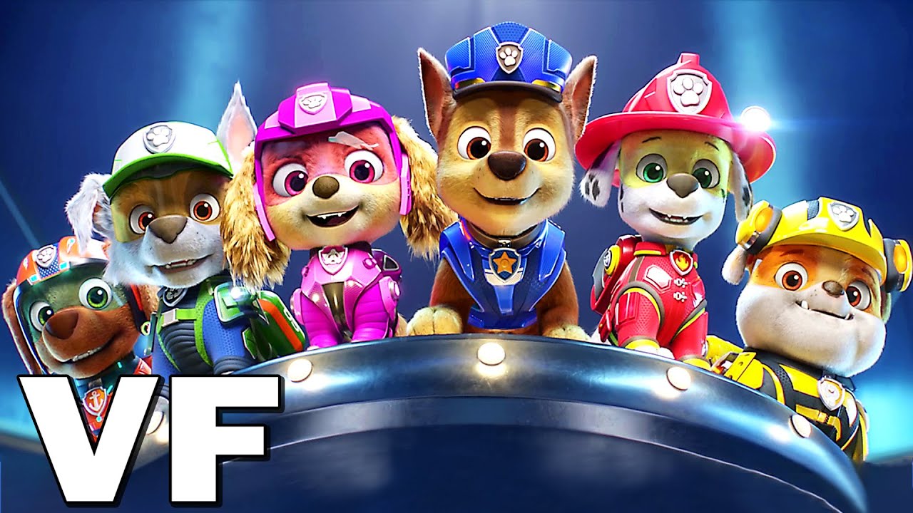 Déguisement Rocky : Pat' Patrouille (Paw Patrol) - Garcon