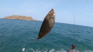 Câu cá biển Nhơn Lý - Bình Định