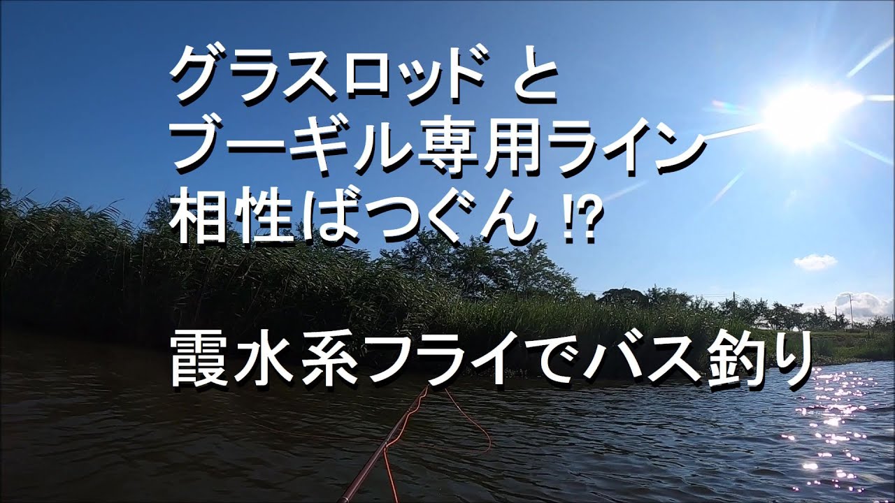 ブルーギル専用ラインとグラスロッド 霞水系フライでバス釣り Youtube