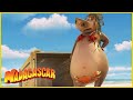 DreamWorks Madagascar En Español Latino En El Clip De Playa Madagascar Dibujos Animados