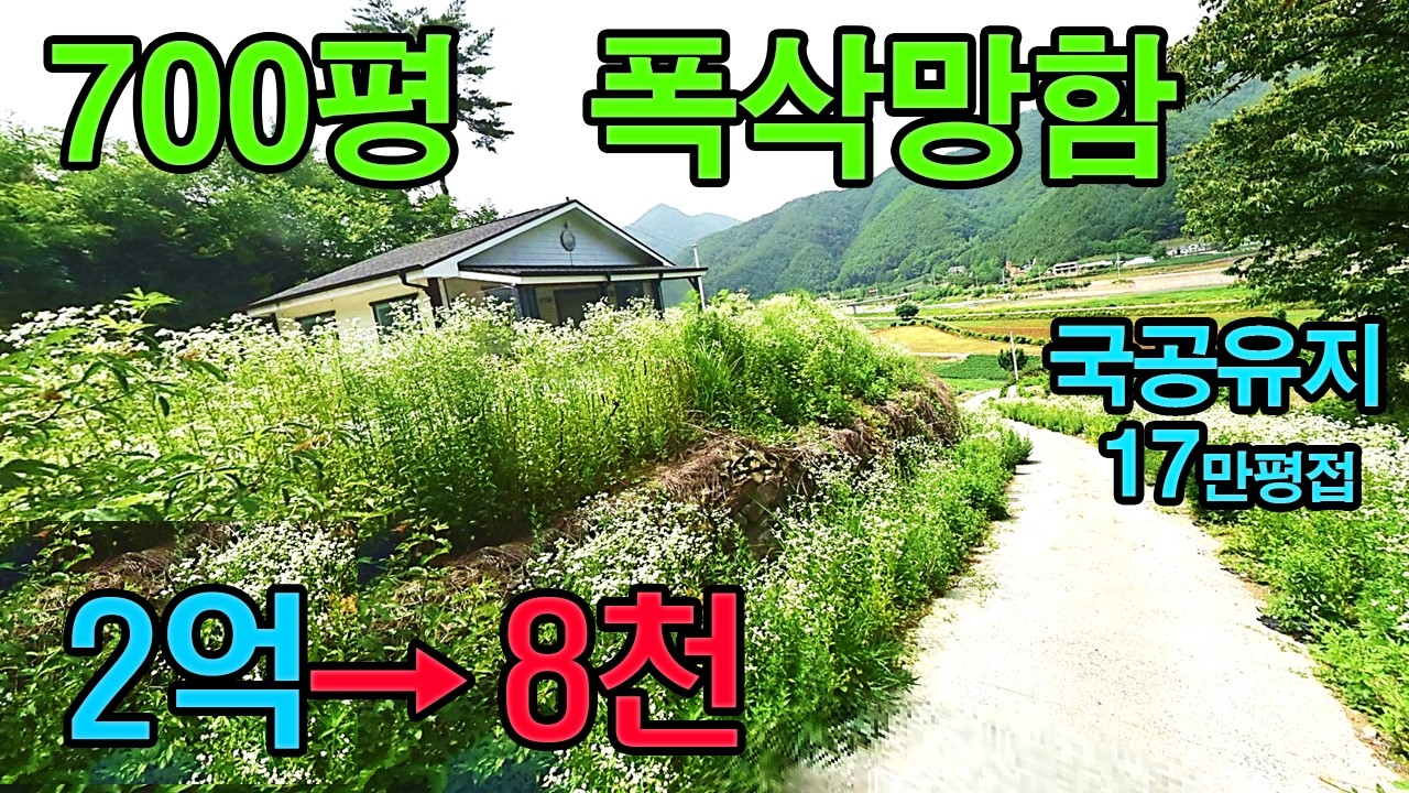 지은지 10년 700평 단돈 8천만원에, 17만평 나혼자 산다