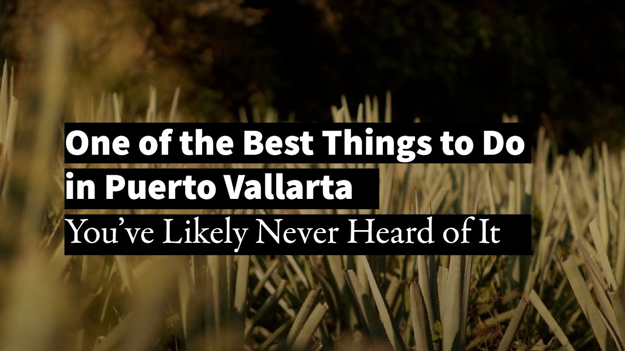 One of the Best Things to Do in Puerto Vallarta – You’ve Likely Never Heard of It