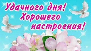 деревенский дневник очень многодетной мамы. бутафорская семья