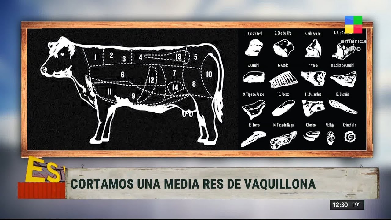 ¡Masterclass de cortes de carne para cuando vayas a la carnicería! 🐄