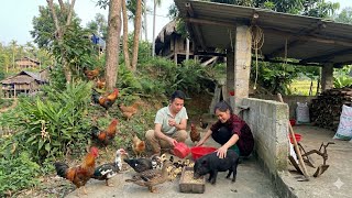 Simple Rural Life | We Built a Garden Trellis and Welcomed a New Piglet | Ly Tieu Yen