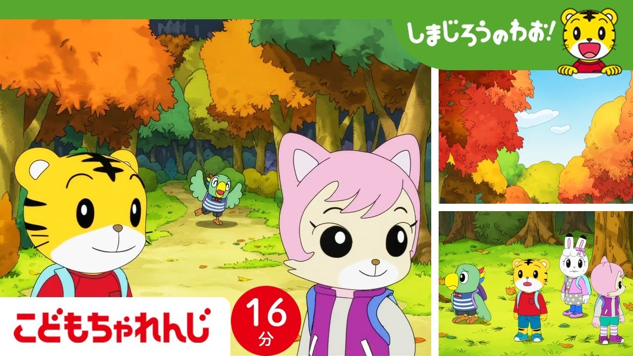 【16分アニメ】秋の冒険！道にまよっちゃった！？ | しまじろうのわお！アニメ | しまじろうチャンネル公式