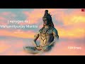 108 times     mahamrityunjay mantra by bawa rocker  liveom entertainment