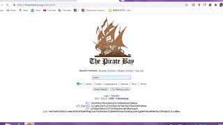 Torrenting fun