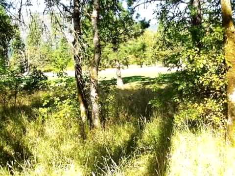 1392 Golf Club Dr, Cave Junction, OR home video tour