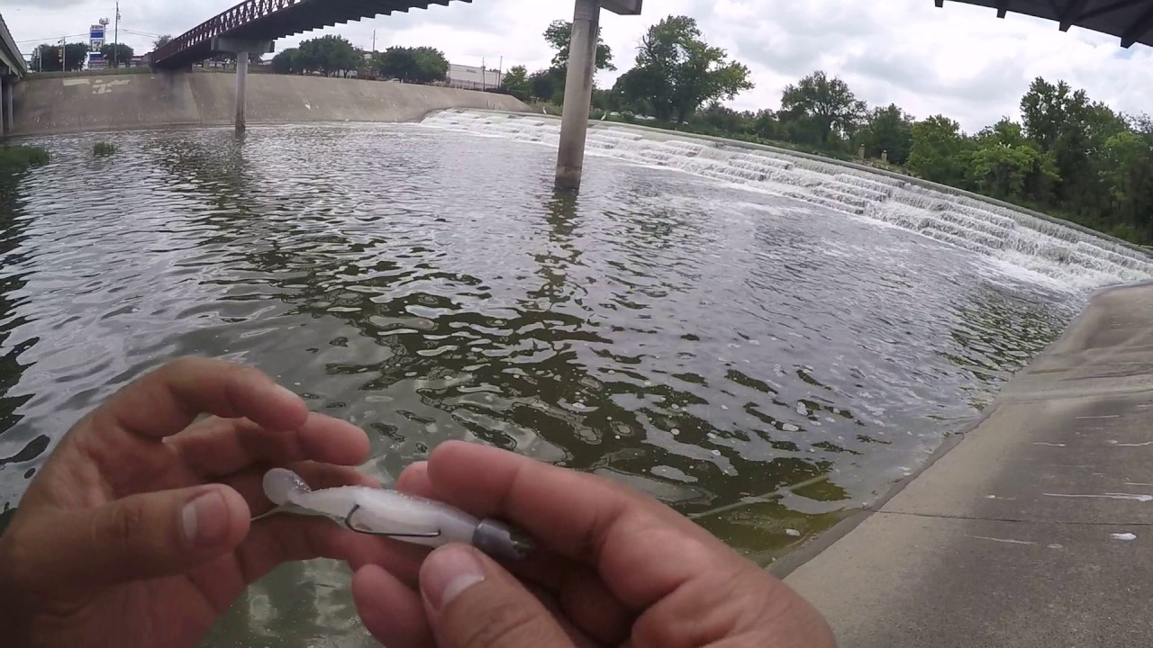 White Rock Lake Fishing Dallas, Tx