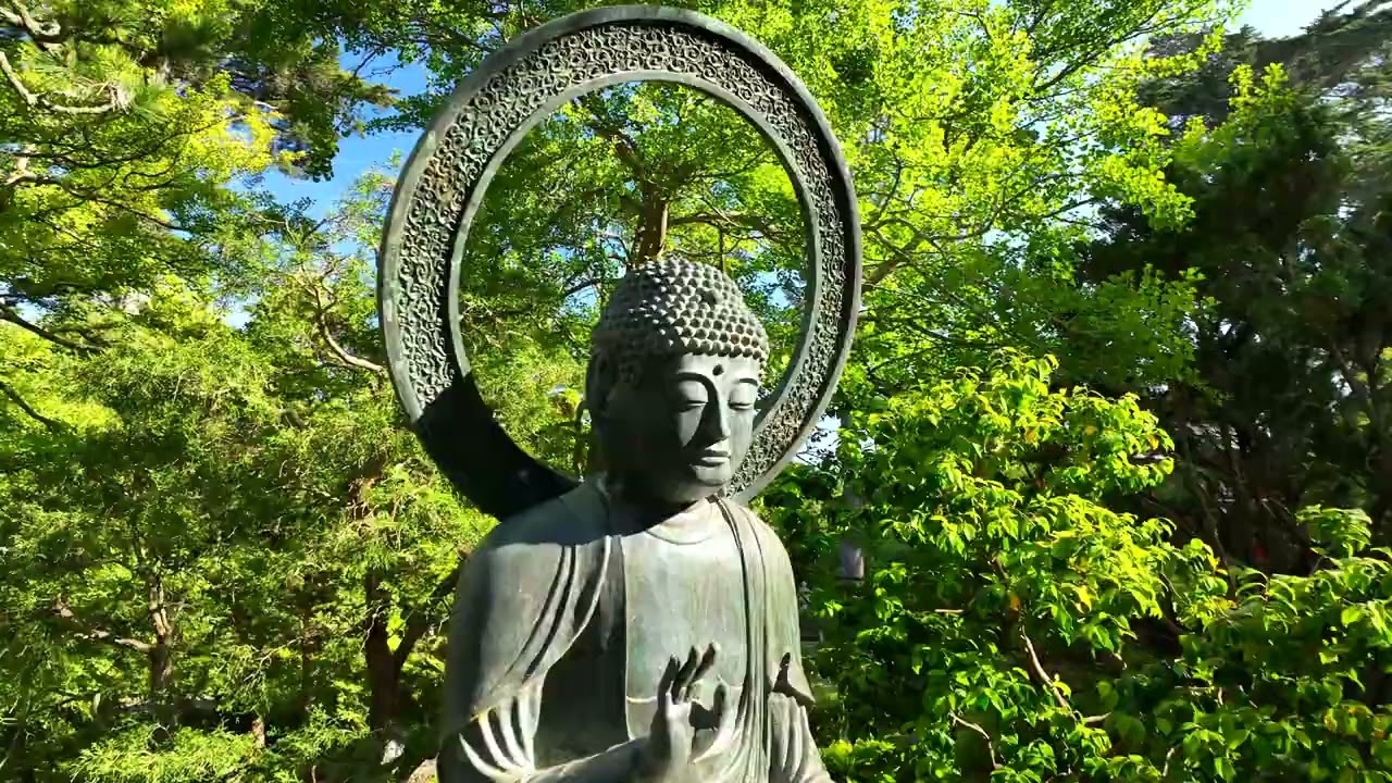 Japanese Tea Garden Drone Video Tour | Private Event Rentals