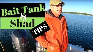 Livewell and Shad Tips with Professional Fishing Guide, Bob Maindelle