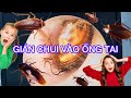 NẰM NGỦ BỊ CON GIÁN CHUI VÀO TAI / DỊ VẬT ỐNG TAI NGOÀI / TAI - MŨI - HỌNG