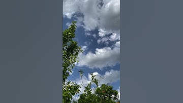 قران الكريم آيات من القرآن الكريم أجر لي ولكم