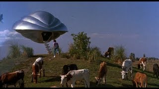 Three Year Old Boy Encounters Alien Greys! Incredible Eye Witness Accounts 2017