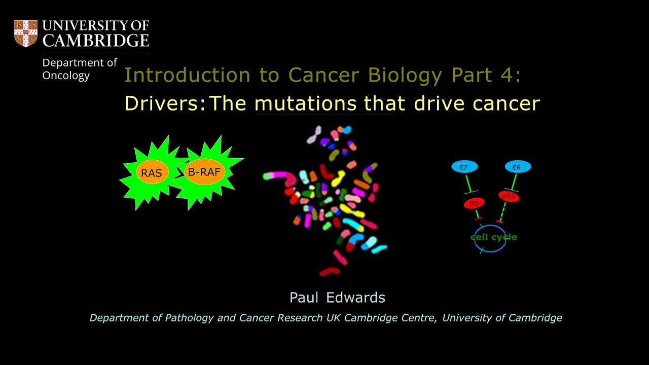 Video 4: Drivers - The mutations that drive cancer - YouTube