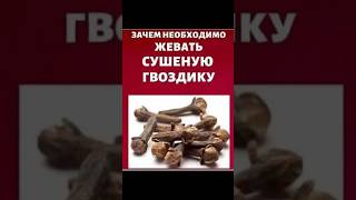 💥 Почему ВСЕ начали жевать ГВОЗДИКУ? Вот что она делает с организмом! 🌿