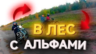 🍁Осенние покатушки по красивым местам🌿.