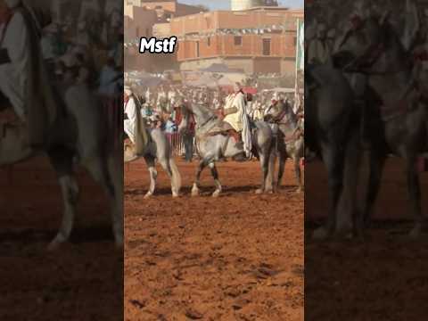 علفة رشيد ولاد بن ناصر ولاية معسكر