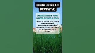 Kata Ibu Buat Anaknya _ Pesan Bijak Seorang Ibu _ kata-kata mutiara #quotes #kataibu #pesanbijak#ibu