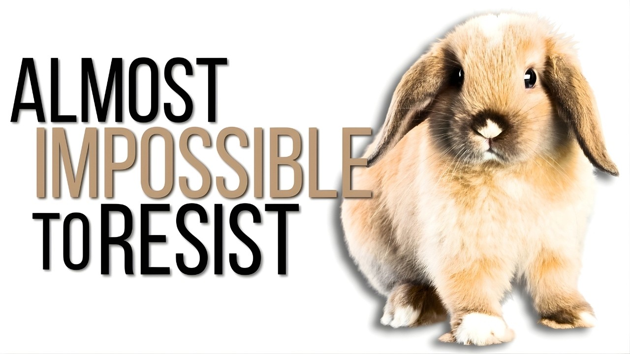 TOP-10 | Cutest Animals In The World | Cute Animals