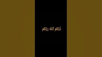 سورة يونس من الآية١ إلى الآية٥#قرآن #قرآن_كريم #قران_كريم #قران #تلاوة_خاشعة #تلاوات #تلاوة #فلسطين