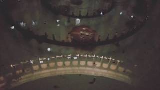 Useless Wing - Pallcast