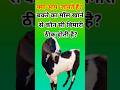 बकरे का माँस खाने से कौन सी बीमारी ठीक होती है? #gk #gkquiz  #shortsfeed #education #shorts