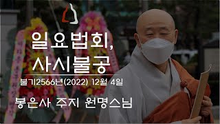 봉은사 사시불공 일요법회(2022.12.04)