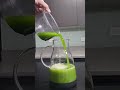 Can You Guess What's In This Juice? 💚 | Mystery Juice Challenge