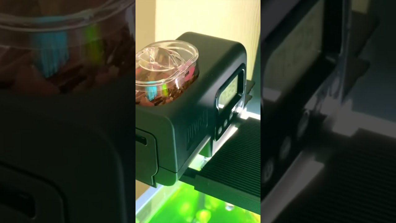 Juwel Smart Feed 2.0 im Einsatz 🐠 / Aquaristik_4_fun / 