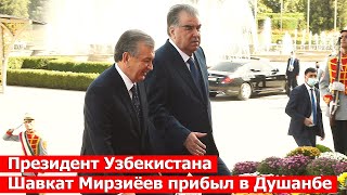 Президент Узбекистана Шавкат Мирзиёев прибыл в Душанбе / новости таджикистана