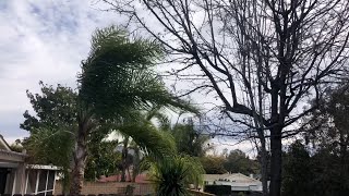 San Diego County hit again with Santa Ana winds