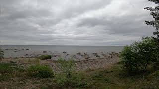 Ruhnu Ruhnö visit to the northern part of the island , seal watching at Kuunsi