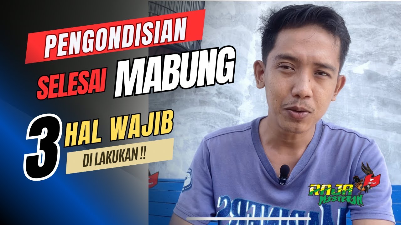 3 Hal Wajib yang harus dilakukan setelah murai batu Tuntas Mabung