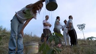 Brésil, 20 ans après le Sommet Planète Terre (Bande Annonce)