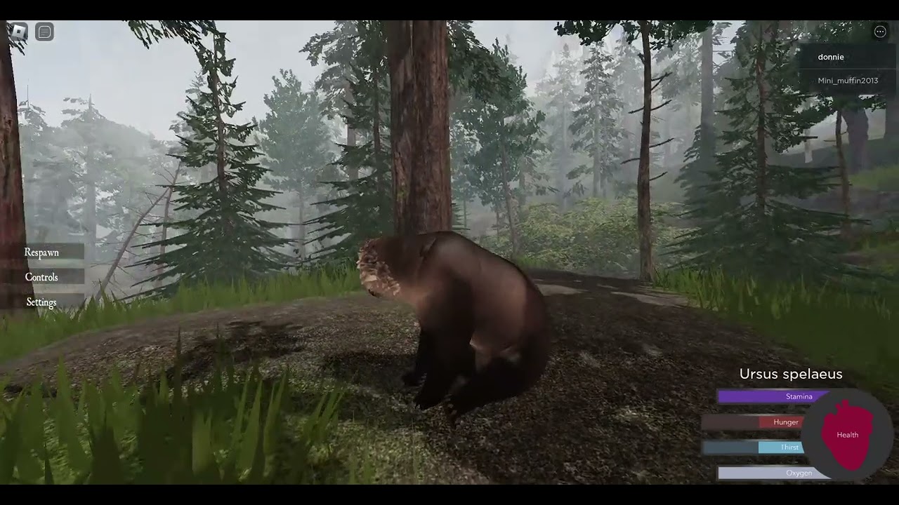 Cave Bear Testing Cenozoic Survival Roblox YouTube Maxresdefault