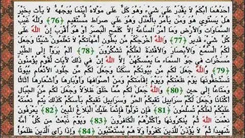 سورة النحل كاملة - شهریار پرهیزکار / صوت والنص