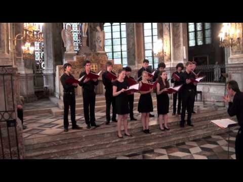 Pierre de Manchicourt - Dulcis Mater Dulcignato