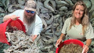 The BIGGEST river SHRIMP I ever caught! {Catch and Cook Shrimp Boulettes}