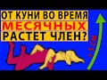 ТОП ЛАЙФХАКОВ ДЛЯ СЕКСА ВО ВРЕМЯ МЕСЯЧНЫХ