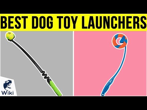 10-best-dog-toy-launchers-2019