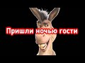 ОСЁЛ пришел НОЧЬЮ в гости!