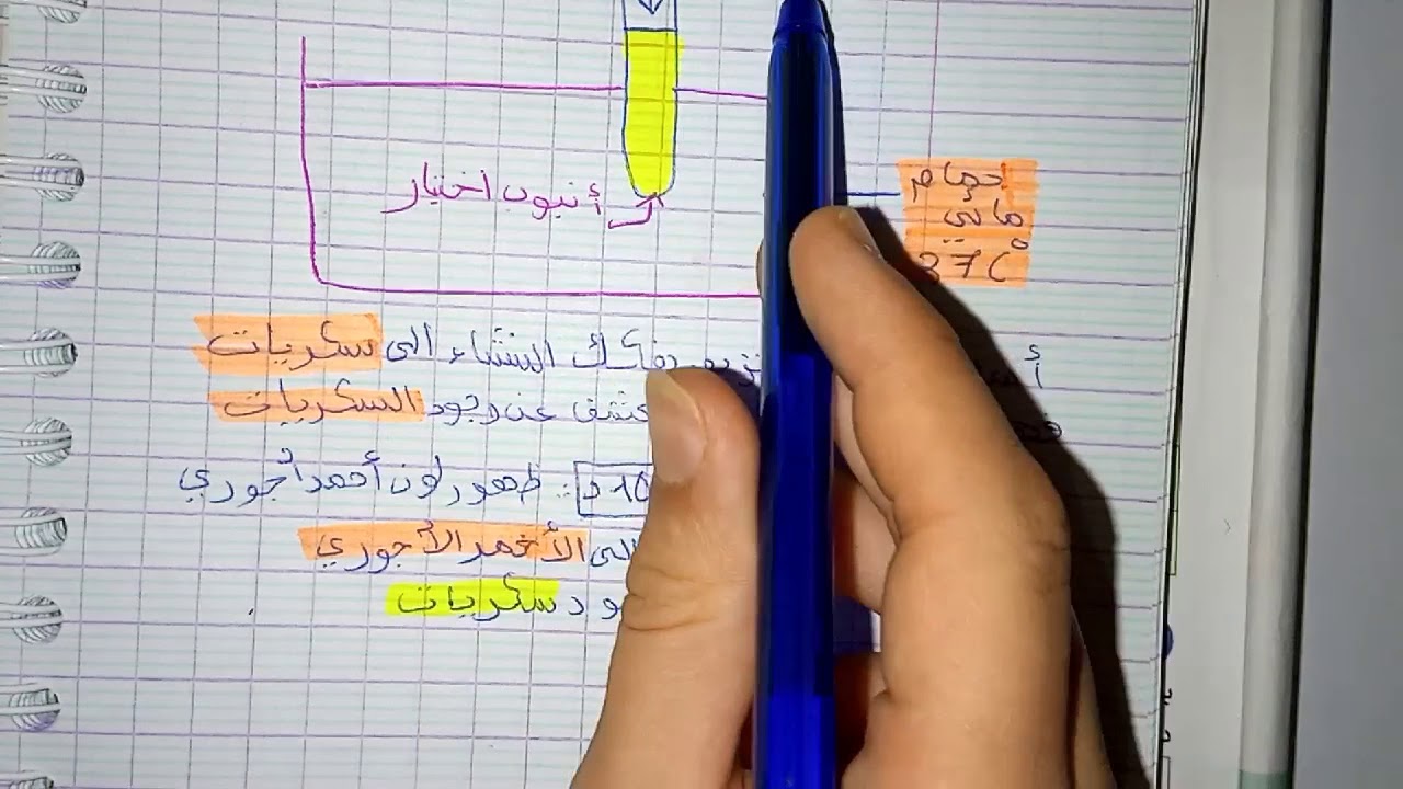 ما هو الانزيم ؟ خاصيته ؟ المعنى البيولوجي للهضم ؟