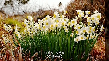 노들강변 (김영임) / 거문도 야생화