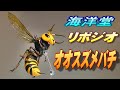 リボジオ《オオスズメバチ》(再販)開封レビュー!!【フィギュア】