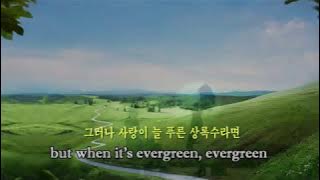 Evergreen  - Susan Jacks 늘 푸른 상록수 (English & Korean subtitles 영어와 한글자막)