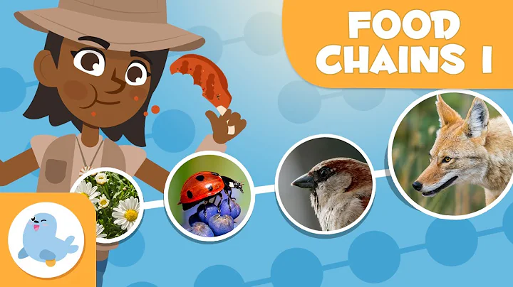 FOOD CHAINS for Kids 🌱⬅🐝⬅🐦⬅🐺 Trophic Levels 🌼 Episode 1