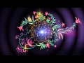 4K UHD Floral Magic Intro Animation Screen Background