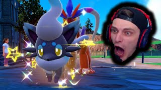 Shiny Zorua Hisuian Form LIVE Reaction (Pokemon Scarlet)